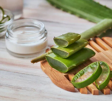 Aloe Vera for Hair Care